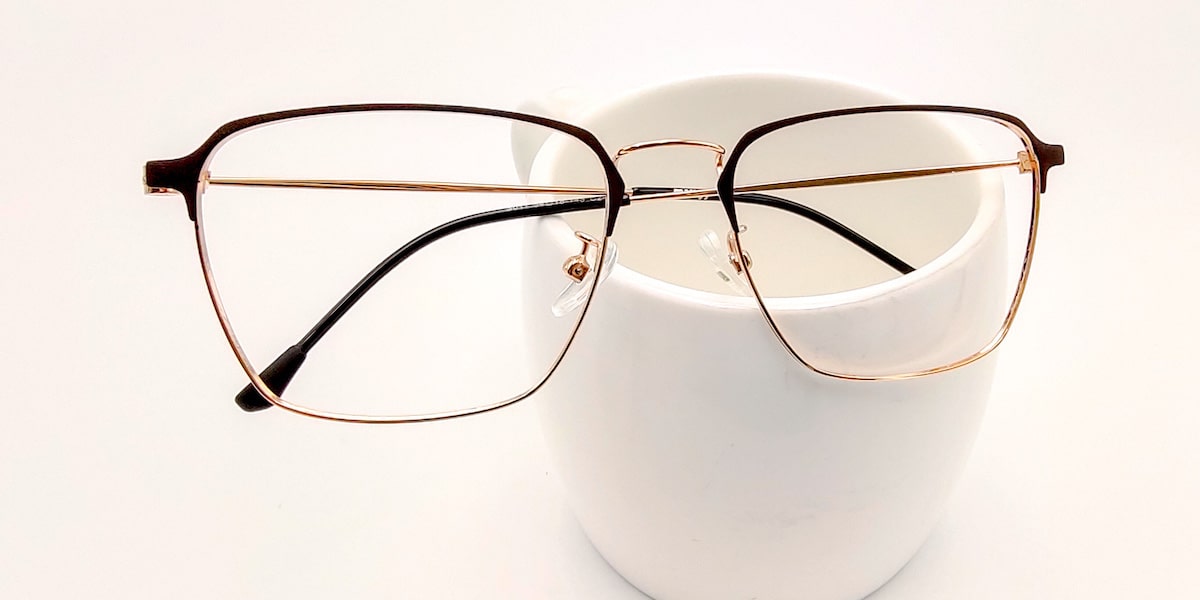 lightweight glasses with browline golden frame