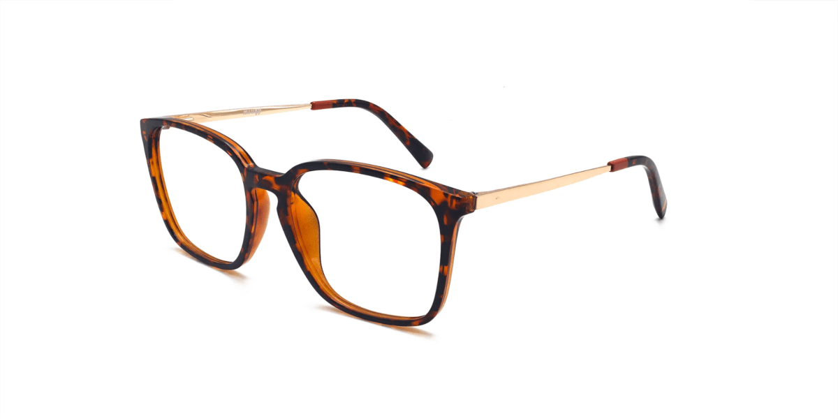 tortoiseshell gentle frame