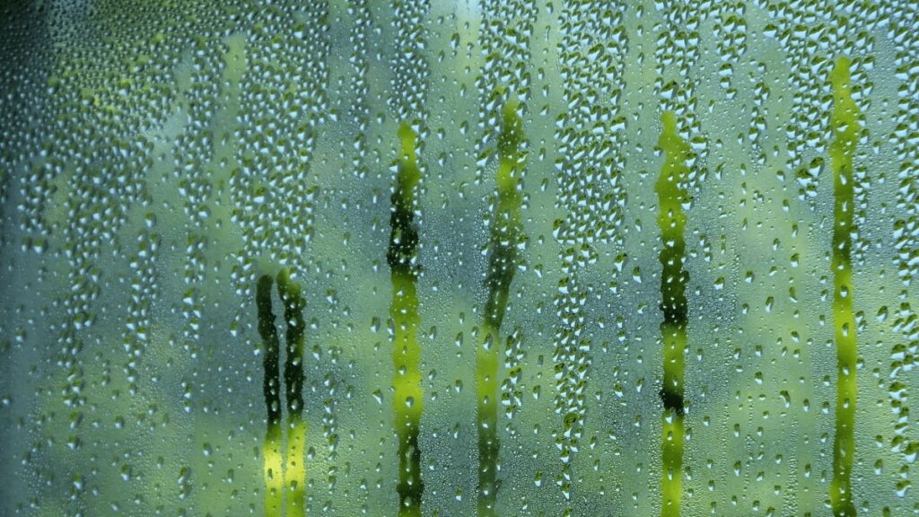 5 Ways to Keep Your Glasses from Fogging Up (that Actually Work!)