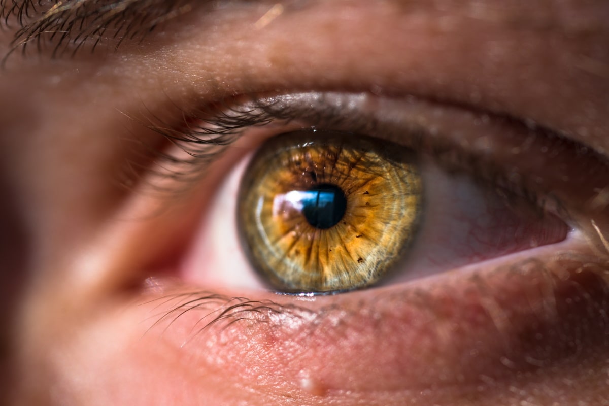 closeup of a hazel eye