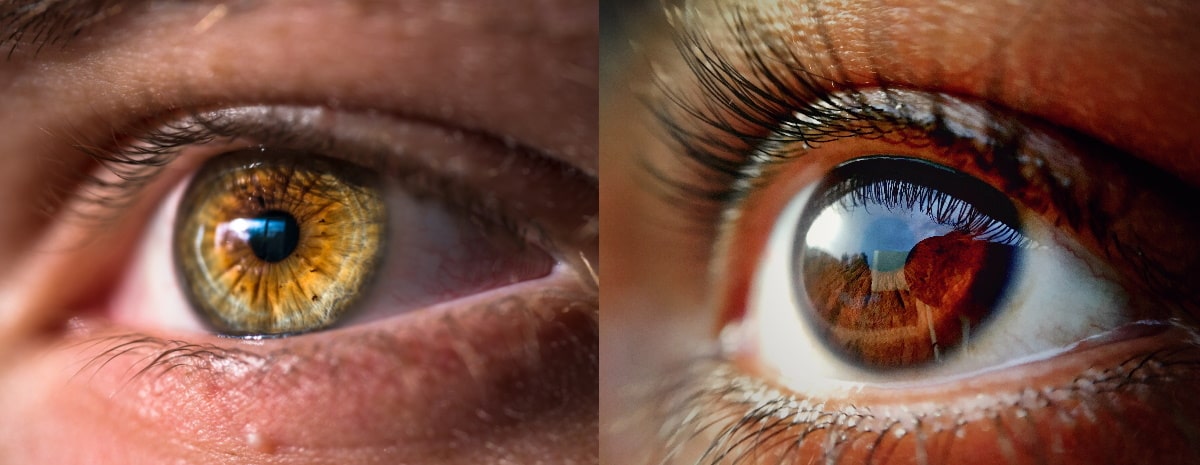 side by side comparison between hazel and brown eyes