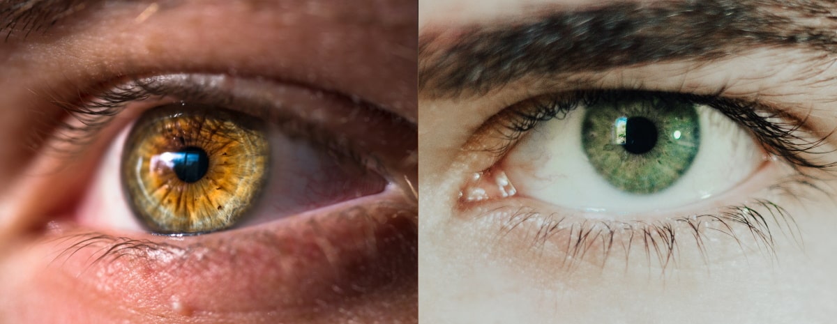side by side comparison between hazel and green eyes