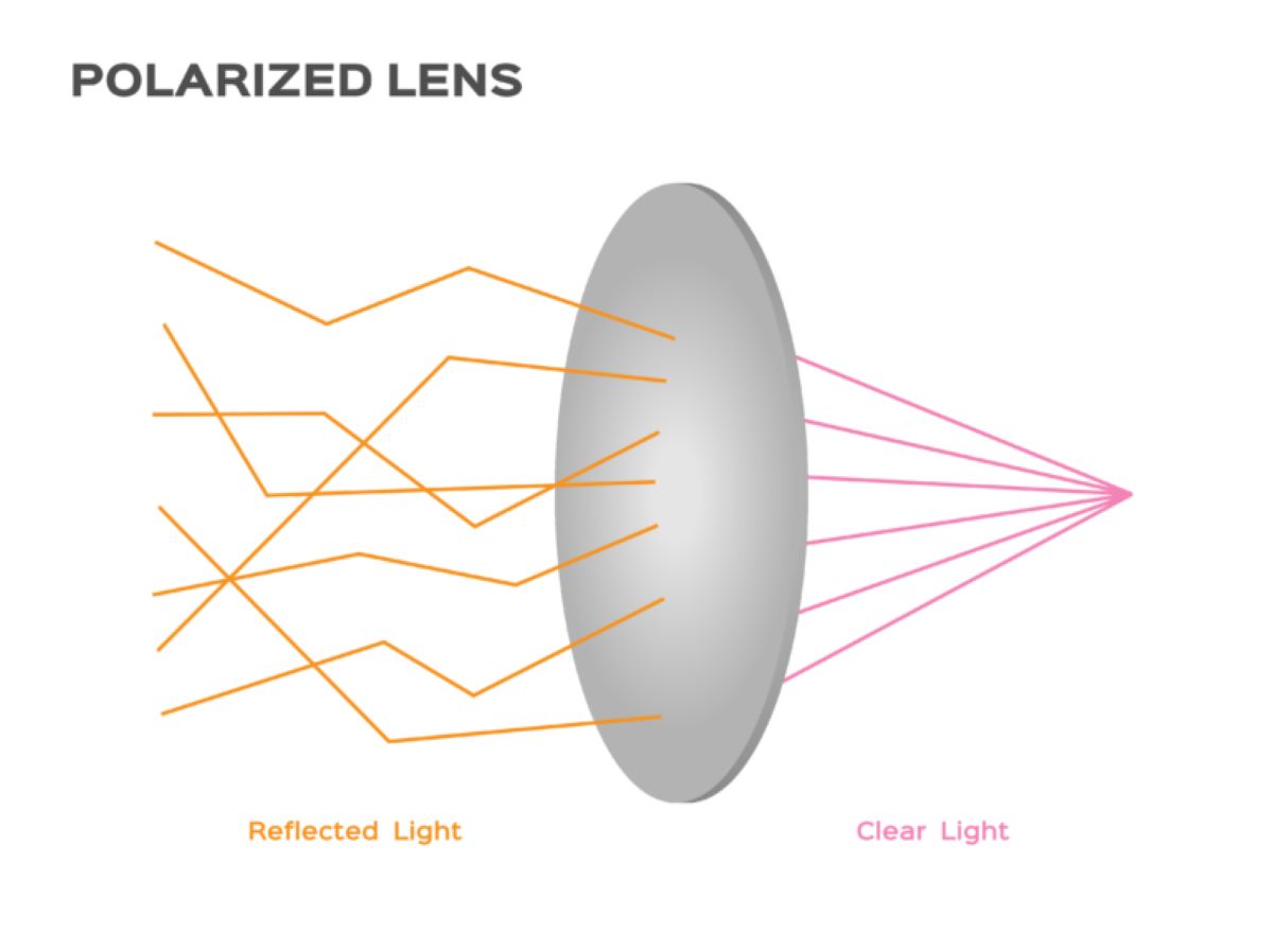 a visual of how light is reflected through the-polarized lens