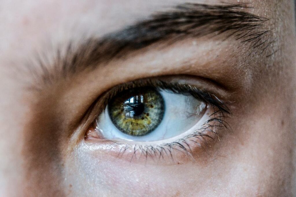 eye retina captures intricate details