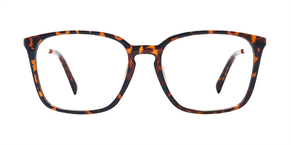gentle square tortoise glasses frame front view