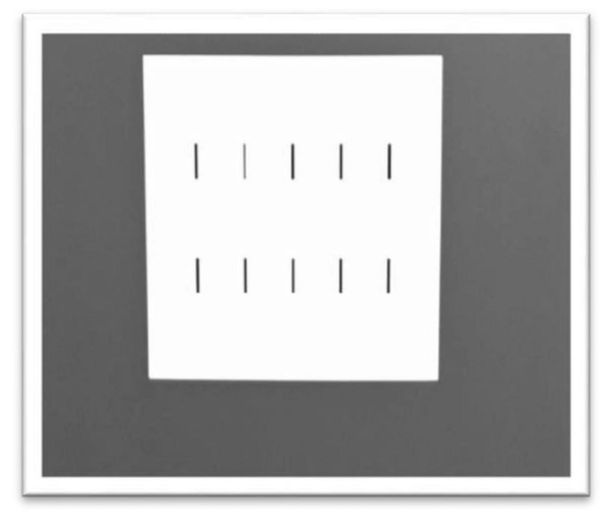 look at picture through glasses to see the 3d in contour stereotest