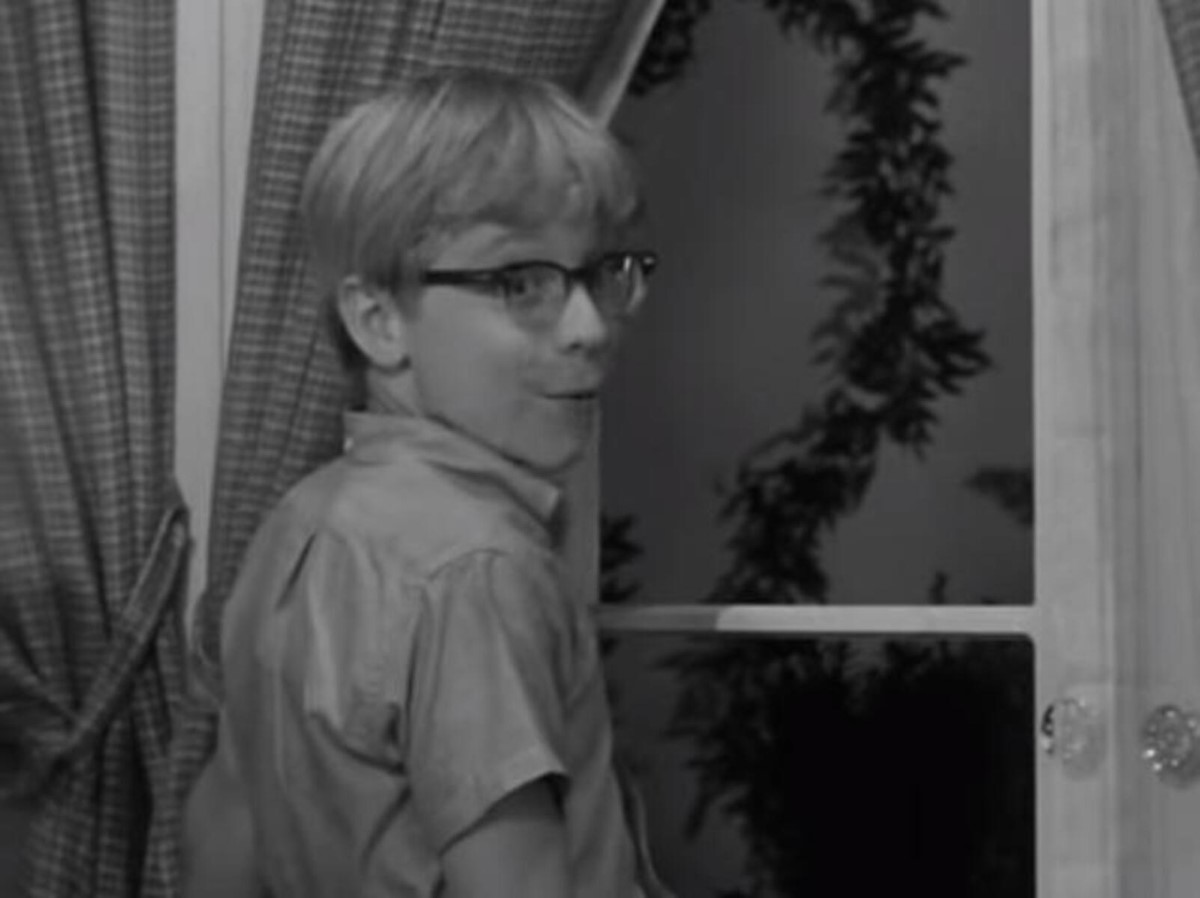 paul o keefe as ross lane in the patty duke show