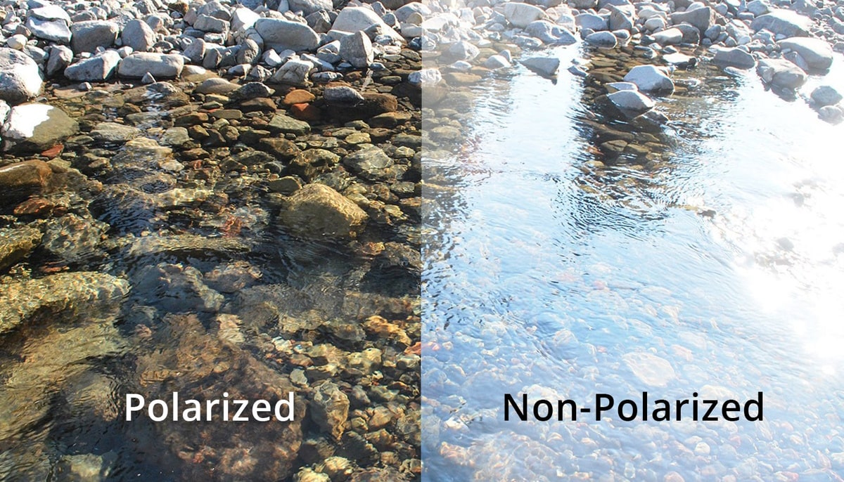 the difference in vision between non polarized and polarized lenses