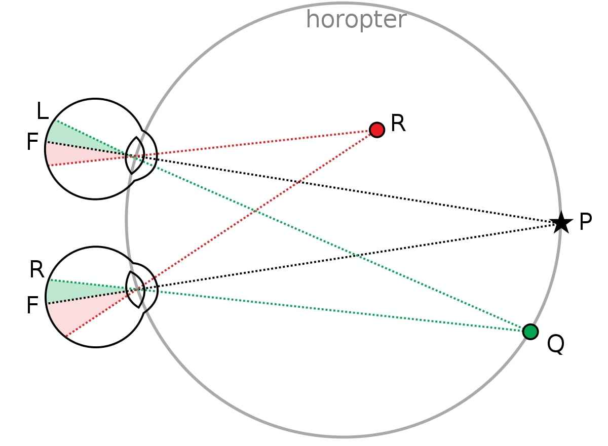 an illustration of how binocular vision works in human eyes