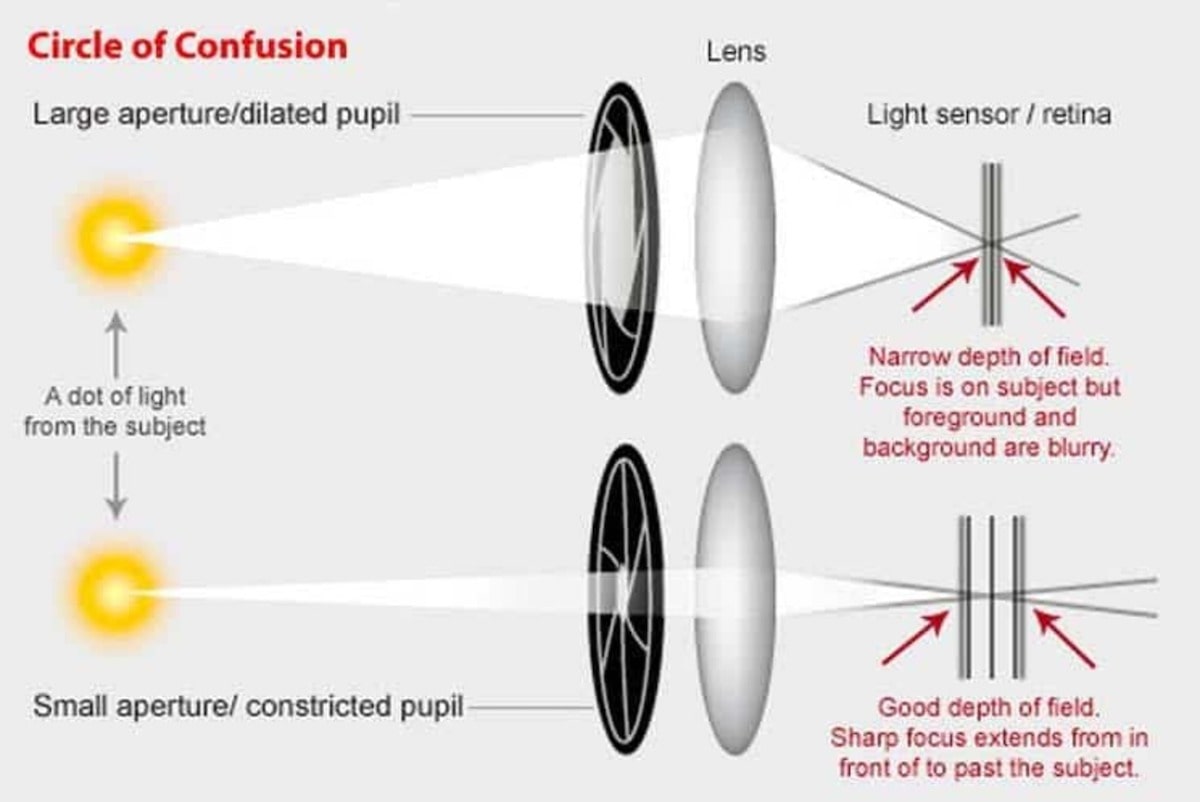 pinhole glasses allow narrow light beams into the eye