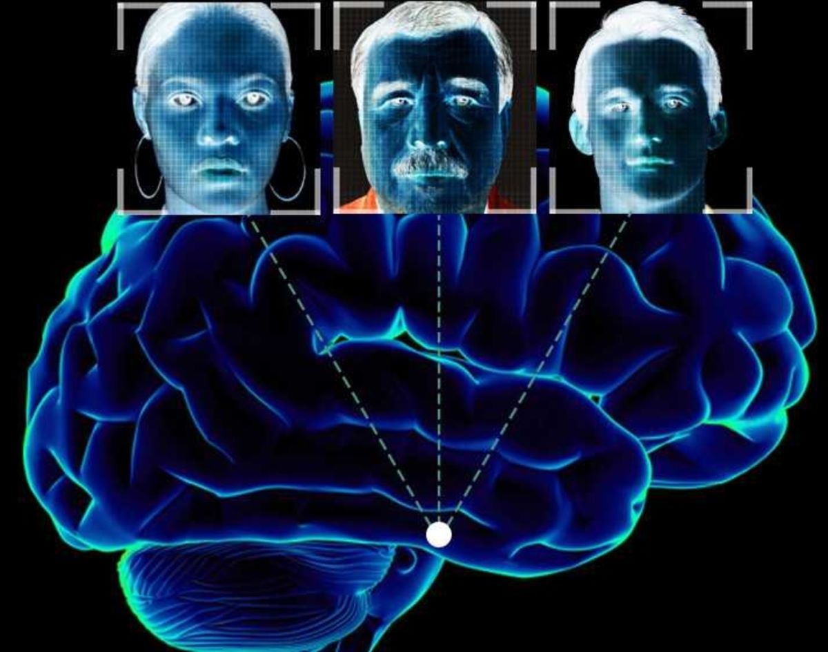 Fusiform Face Area processing facial recognition