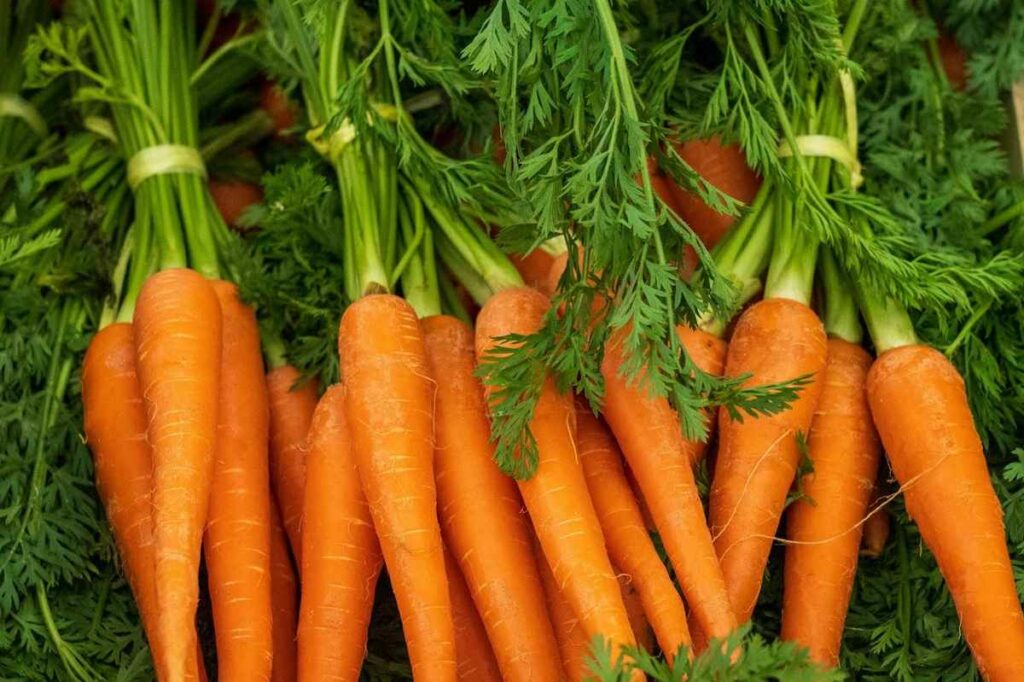 bunch of carrots that are good for eyesight