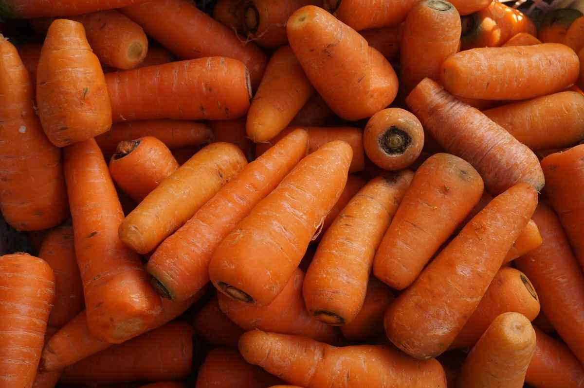 nutritious carrots for eyes